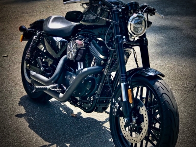 112. Harley Davidson Roadster Model 2019