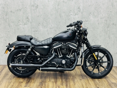 538 . Harley Davidson Iron 883 model 2020 