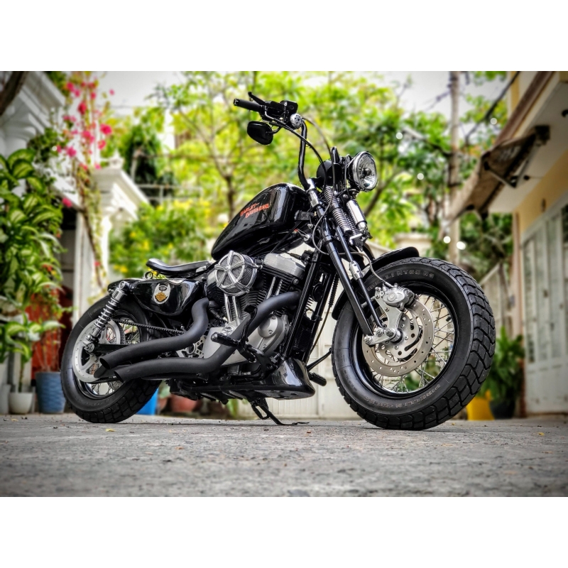 242 . Harley-Davidson Sportster Iron883 (XL883N) 2008