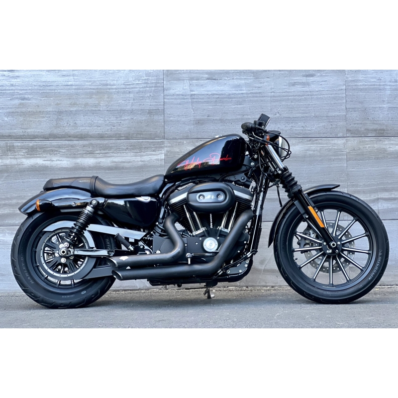 395 . Harley Davidson Iron 883 model 2016 