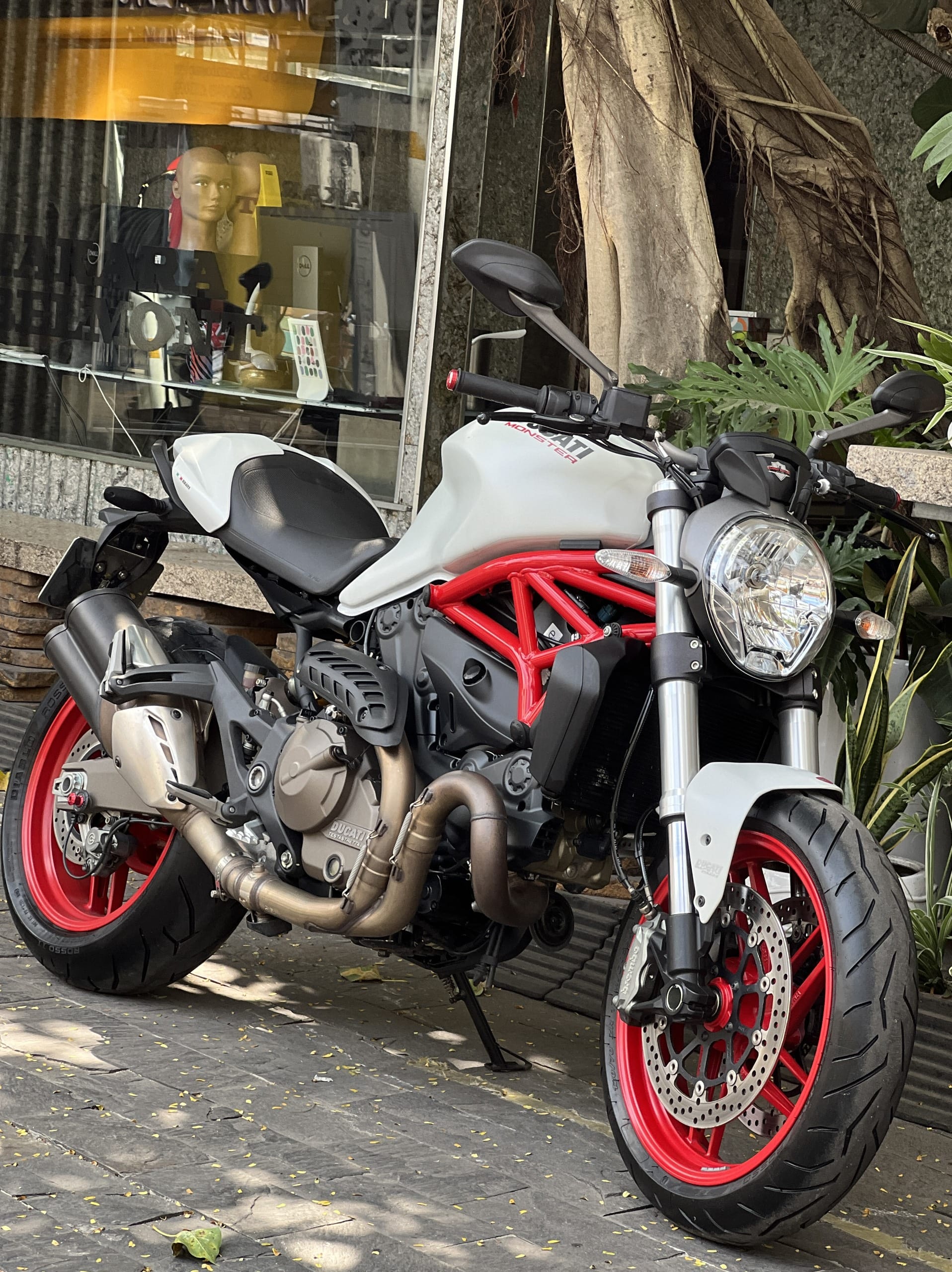 221 . Ducati Monster 821 ABS 2015 Trắng Đỏ