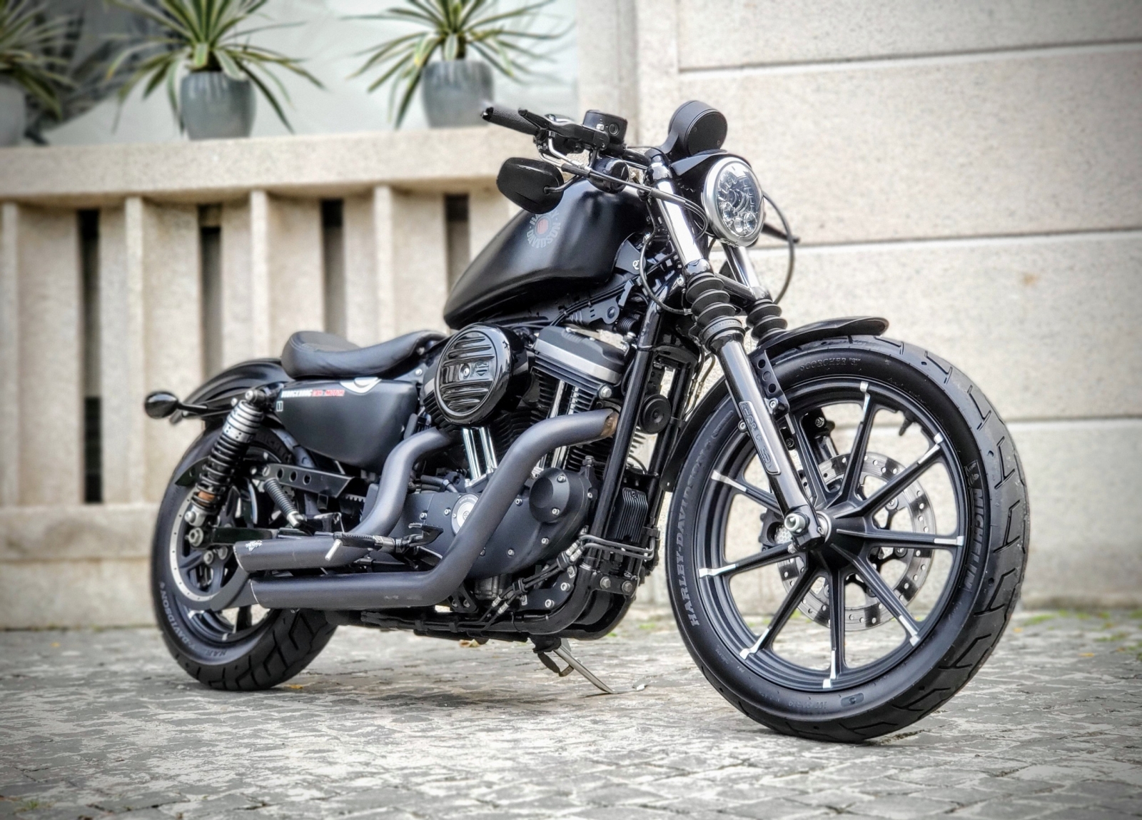 275 . Harley-Davidson Sportster Iron 883™ ABS & Keyless 2019