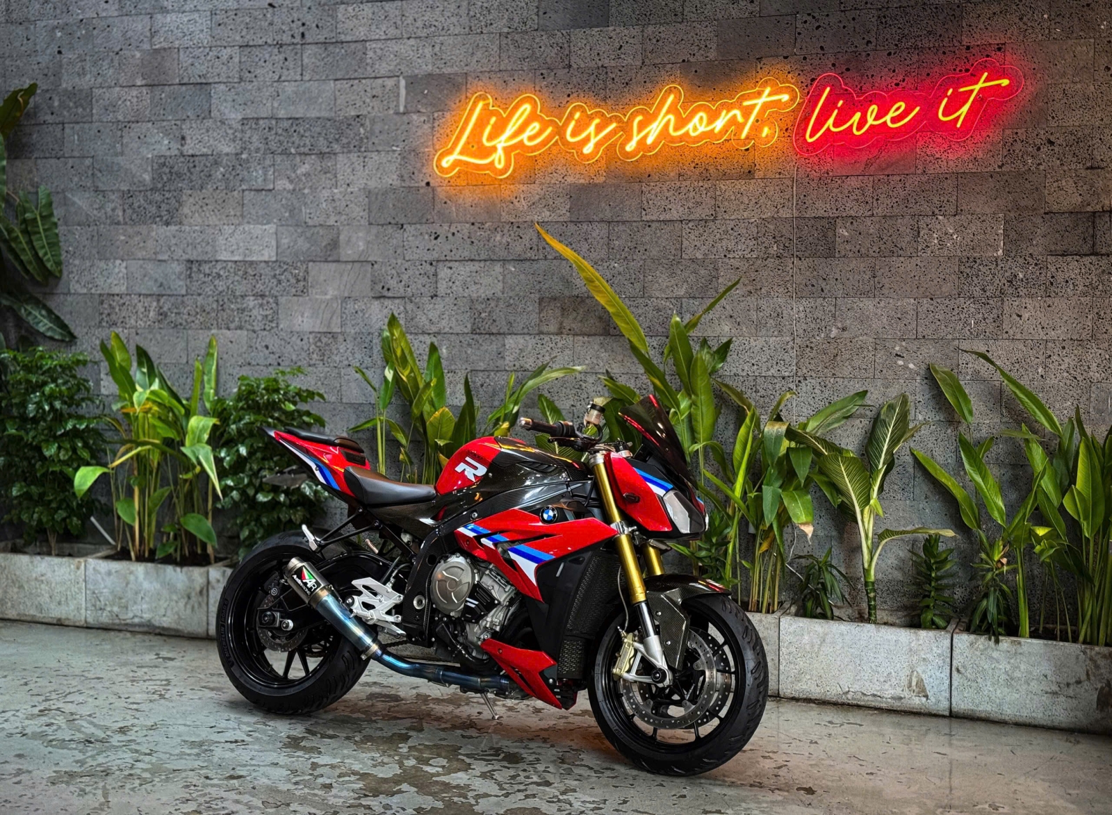 655 . BMW S1000R Model 2015