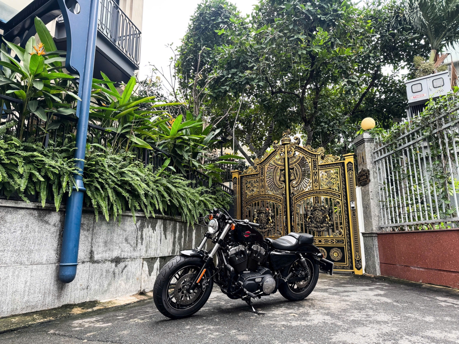 601 . Harley Davidson Forty Eight (HD48) model 2020