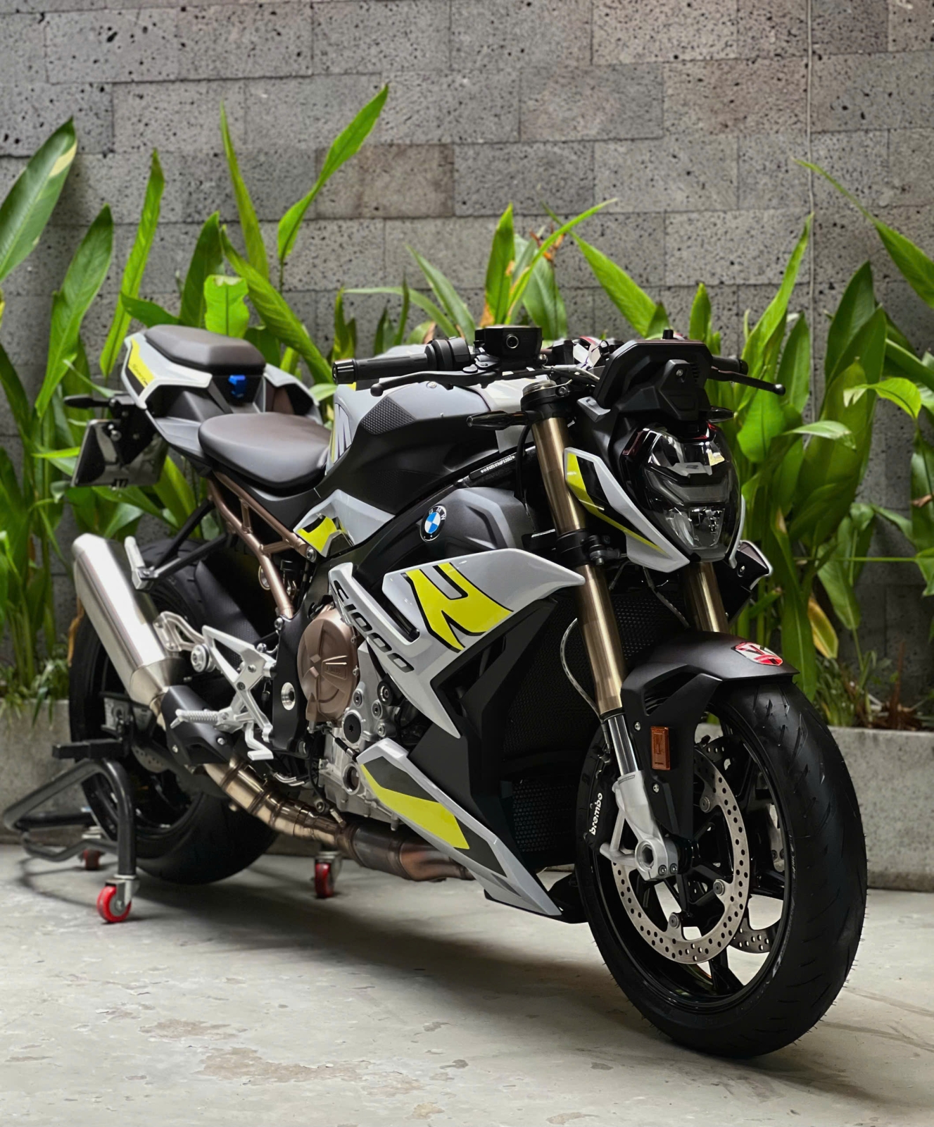 627 . BMW S1000R model 2024 