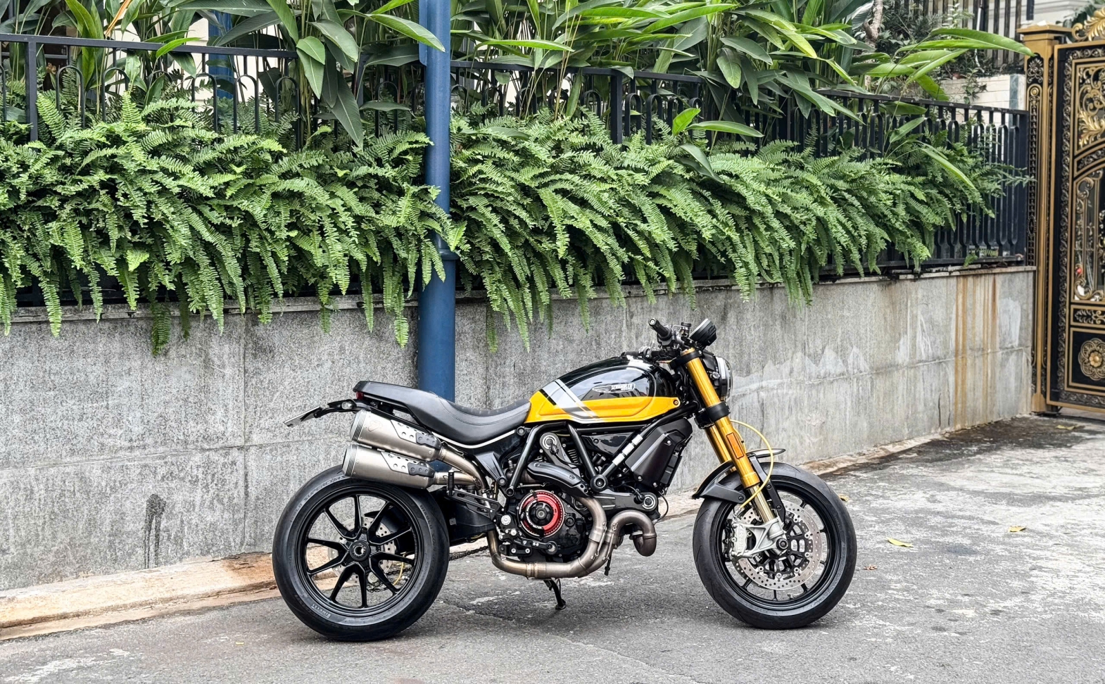 456 . Ducati Scrambler 1100 Sport Pro Model 2019 