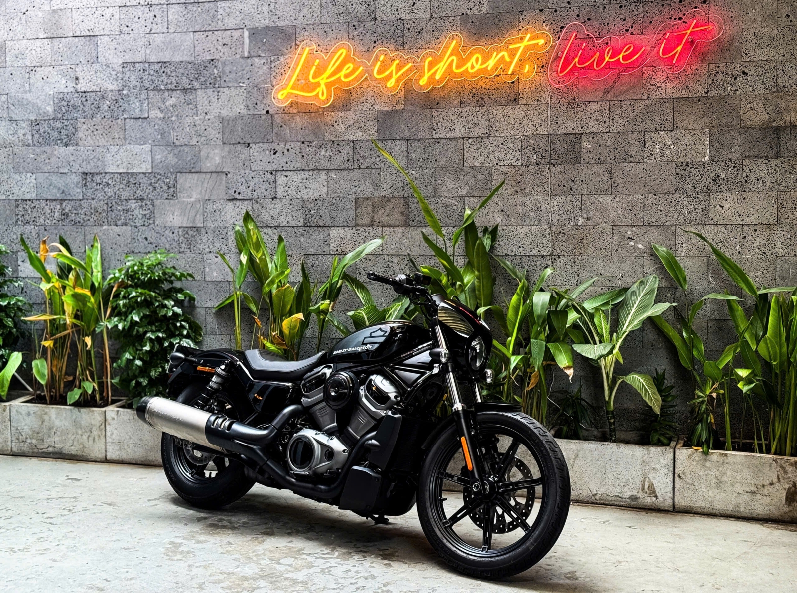 661 . Harley-Davidson Nightster model 2022 