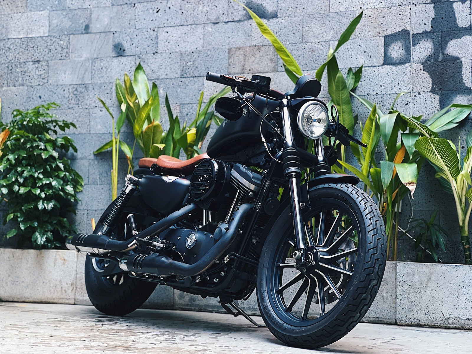 659 . Harley Davidson Iron 883 model 2016 